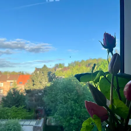 Cosy La Citadelle Private Duplex * نامور